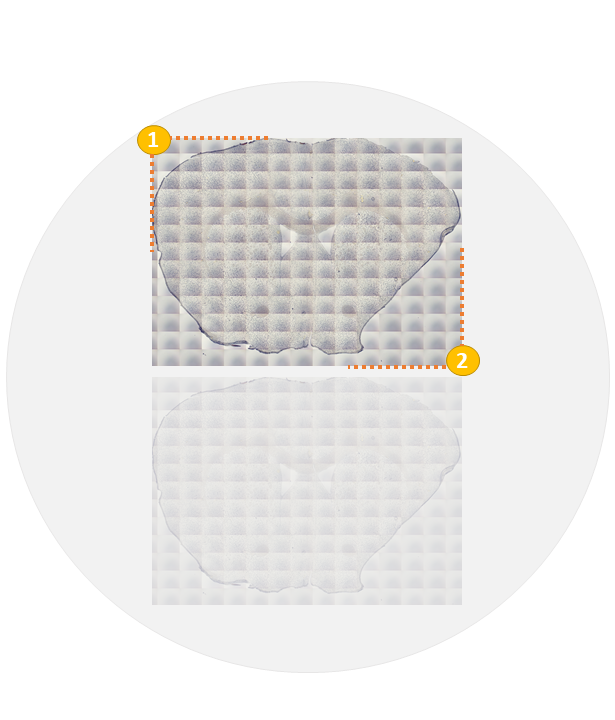 image_overview (1).png