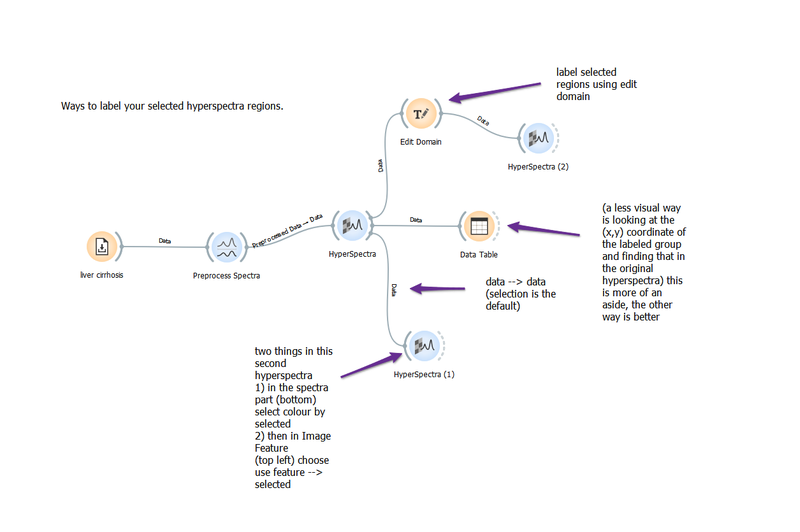 label regions in hyperspectra.png